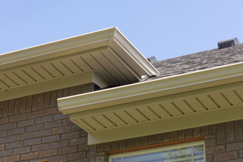 Soffit Damage Repair in Conroe, TX